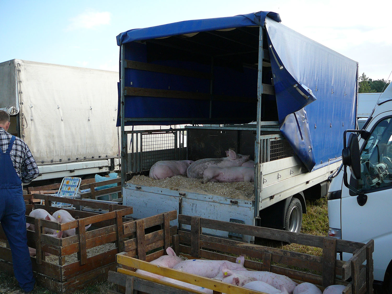 A felsődabasi vásár