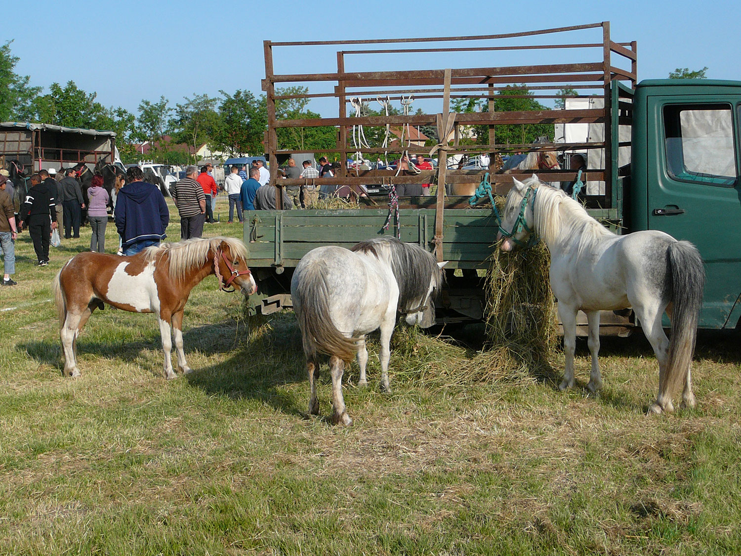 A felsődabasi vásár