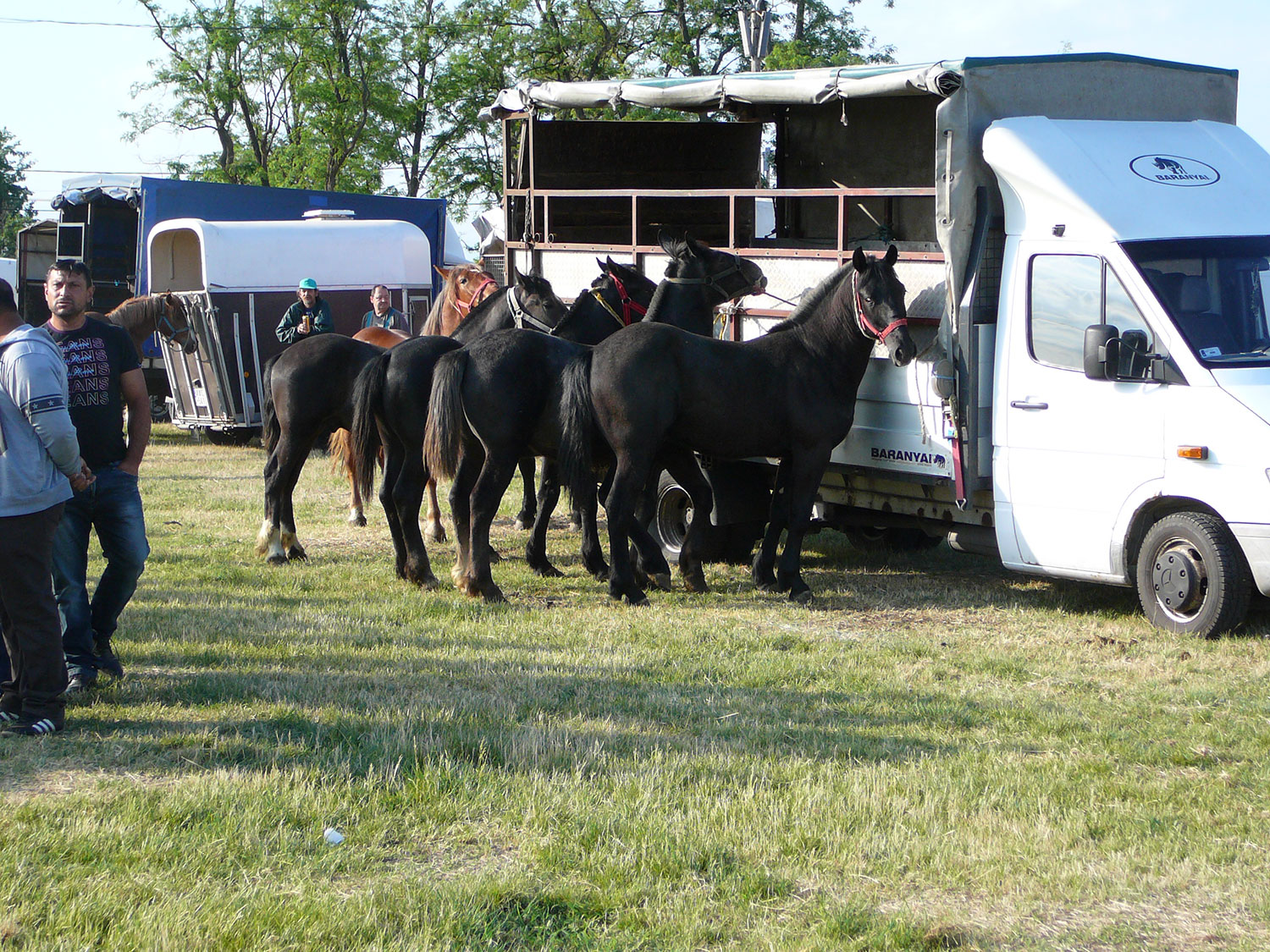 A felsődabasi vásár