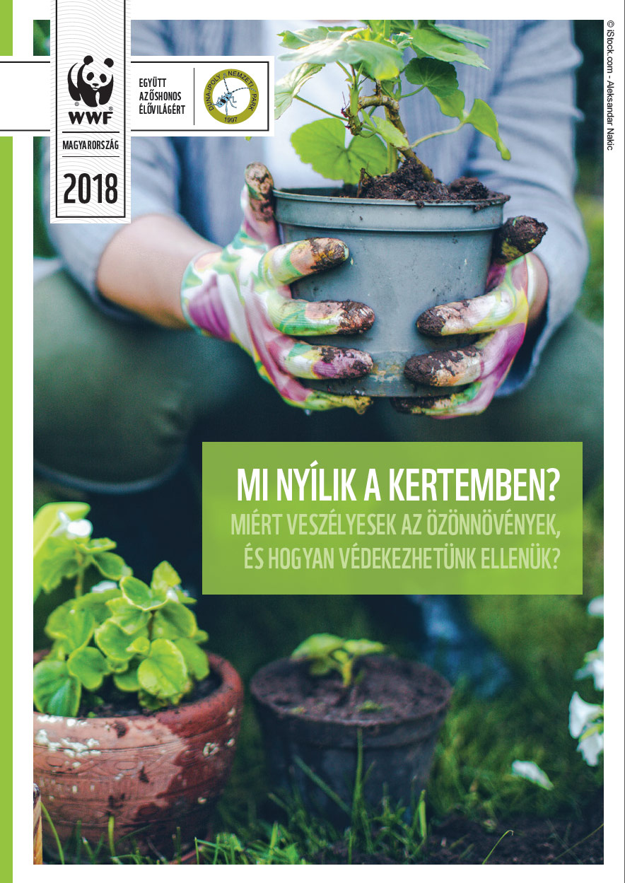 Veszélyes növények a kertünkben